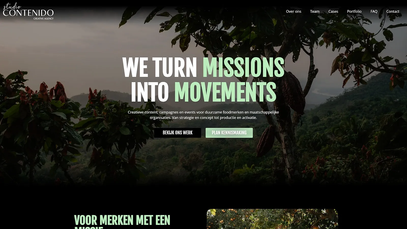 Opgefriste website voor Studio Contenido door Froseo