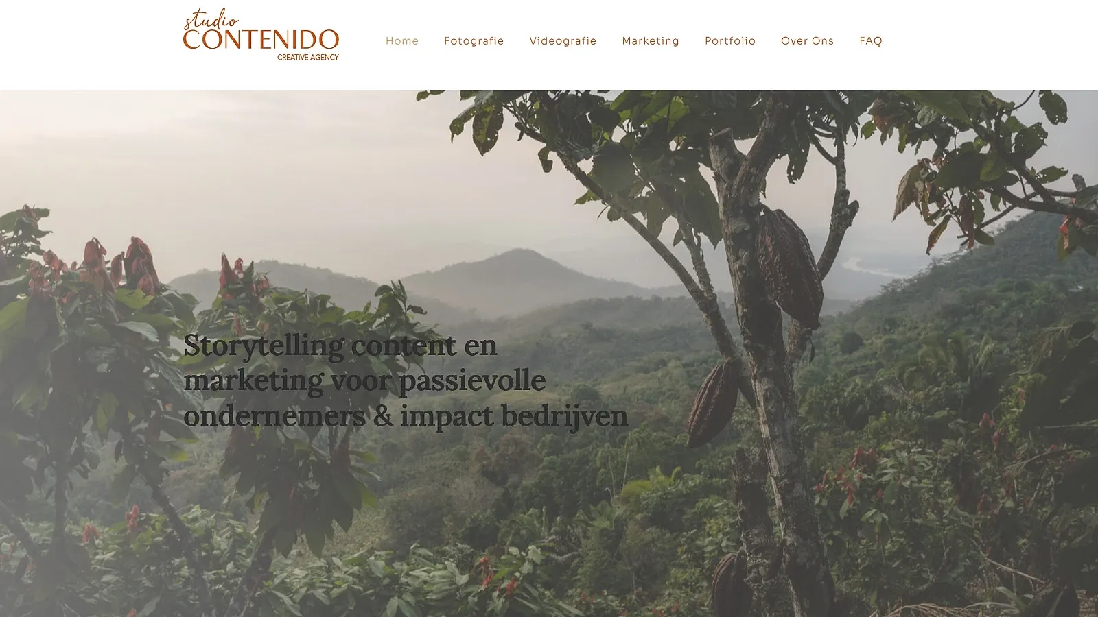 Website van Studio Contenido voor de opfrisbeurt door Froseo
